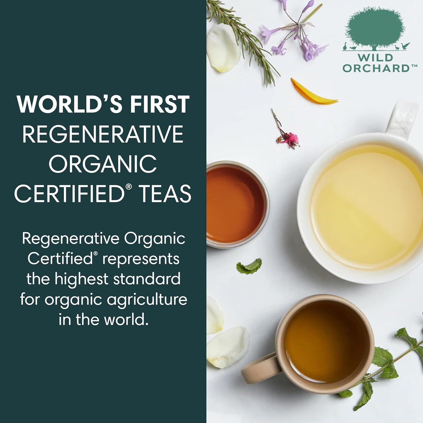 Wild Orchard Premium Grade Oolong Tea - 100% Regenerative Organic Certified - Sustainably & Regeneratively Cultivated on Jeju Island in South Korea - Loose Leaf Oolong Tea