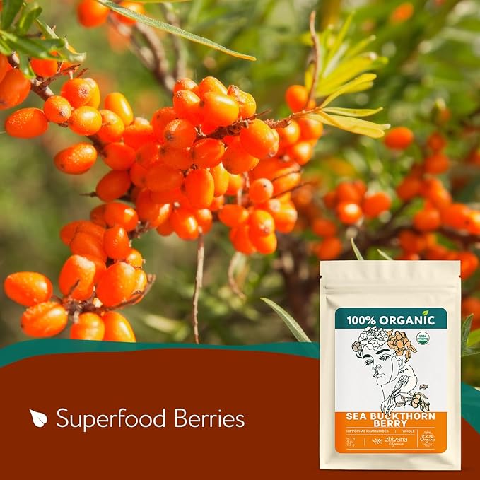 Organic Sea Buckthorn Berry – Sea Buckthorn Tea, Dried Seaberry, Seabuckthorn – Espino Amarillo – Rich in Nutrients Superfood Berries for Immunity