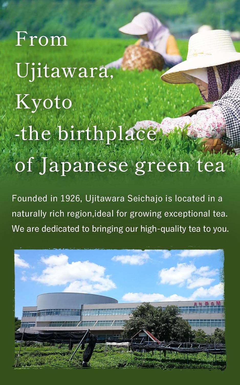 Uji Matcha Kyo-no-hana Ceremonial Grade Matcha Powder from Kyoto, Made in Japan Ujitawara Seichajo Co., Ltd. (1.4oz / 40g) Japanese 64111