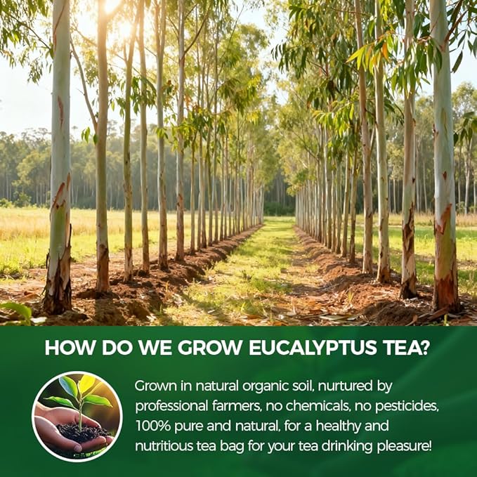 Natural Eucalyptus Tea 140g.100% natural ingredients Eucalyptus Herbal tea bags.Additive-Free • Caffeine-Free • Sugar-Free • Vegan