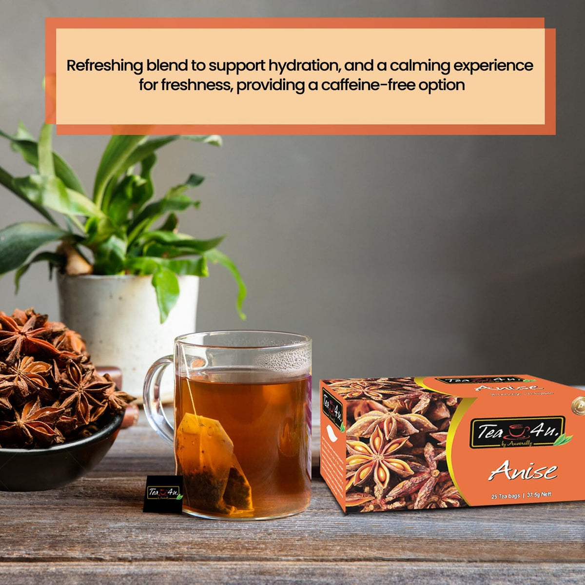 TEA 4U. BY ANVERALLY Tea4U Anise Herbal Infusion Tea Bags - Caffeine Free Blend - 25 Count