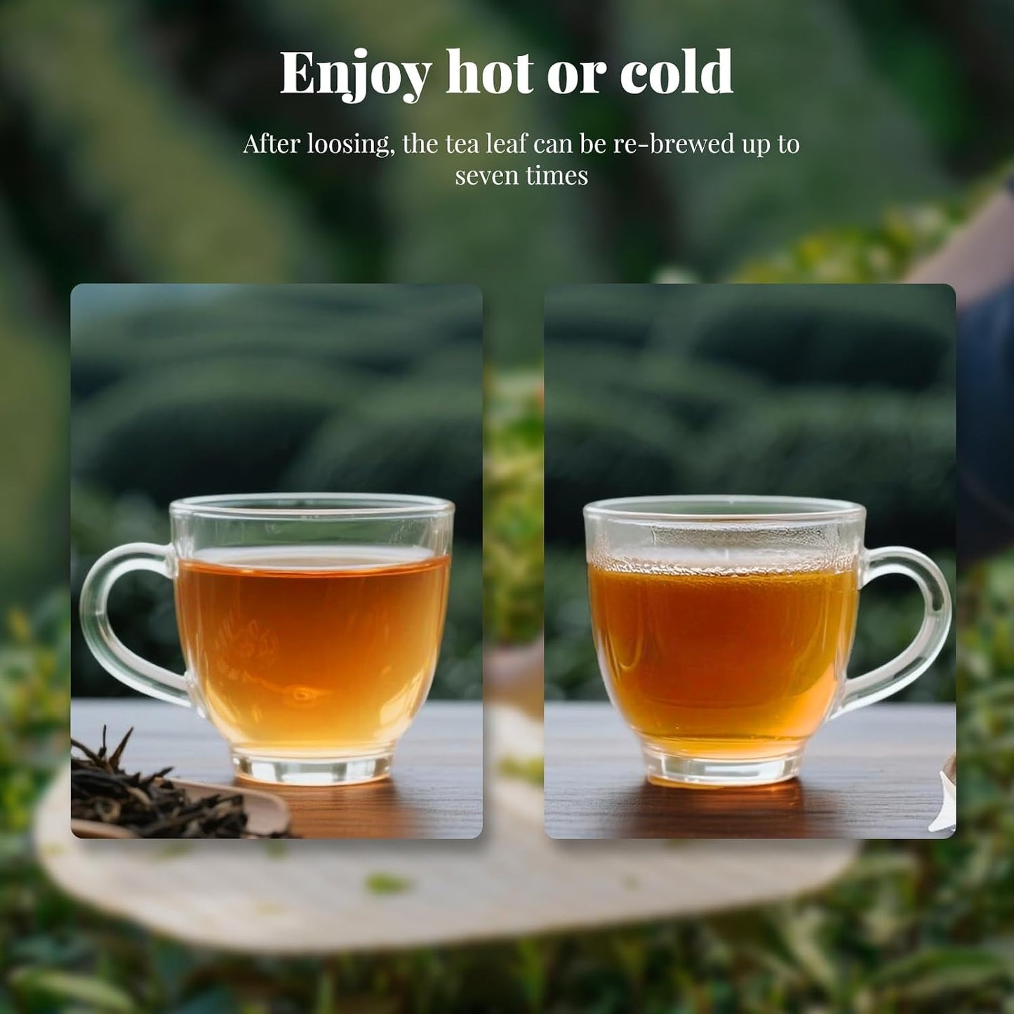 The Spring Tea Premium Grade Wild Tree Black Tea From 300+ Year Old Tree, Loose Leaf Tea, Organic, With Individual Pack, Just harvested in Spring, Exquisite, Handpicked, Gift Package, 3.5oz/100g