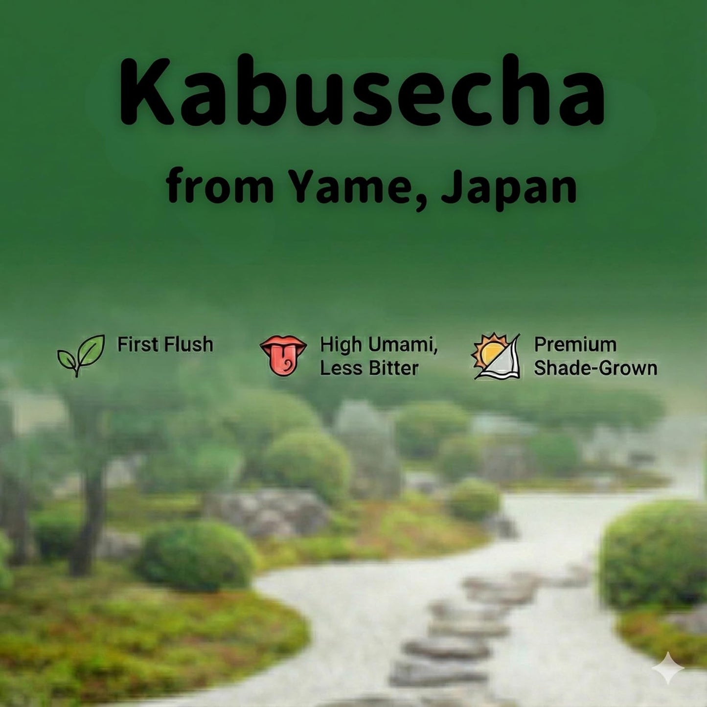 Kabusecha - Shade Grown Green Tea from Yame, Japan