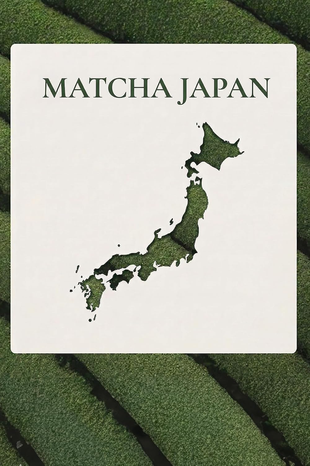 Uji Matcha Green Tea Powder 40g (1.41 oz) – Authentic Japanese Matcha from Kyoto, Premium Culinary Grade – Smooth, Rich Flavor for Latte, Smoothies, Baking & Tea Ceremony