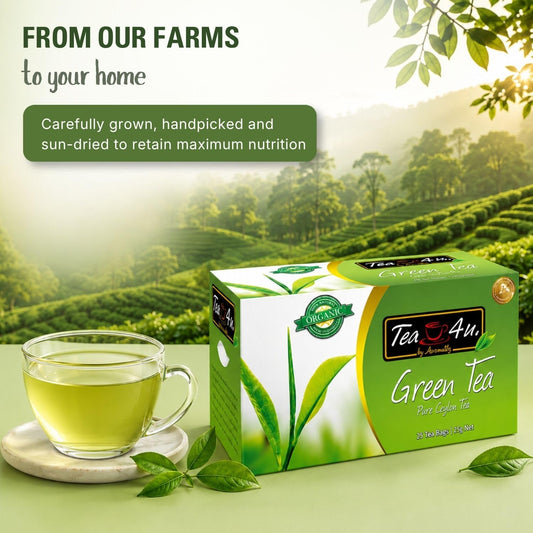Tea4U Organic Ceylon Green Tea Bags - Handpicked Tea Leaves - 25 Count