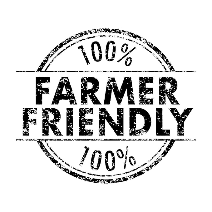 My Red Tea, USDA Organic Rooibos Tea, 80 Tagless Teabags, Single-Origin, Farmer-Friendly, Caffeine-Free, Sustainably Farmed in South Africa