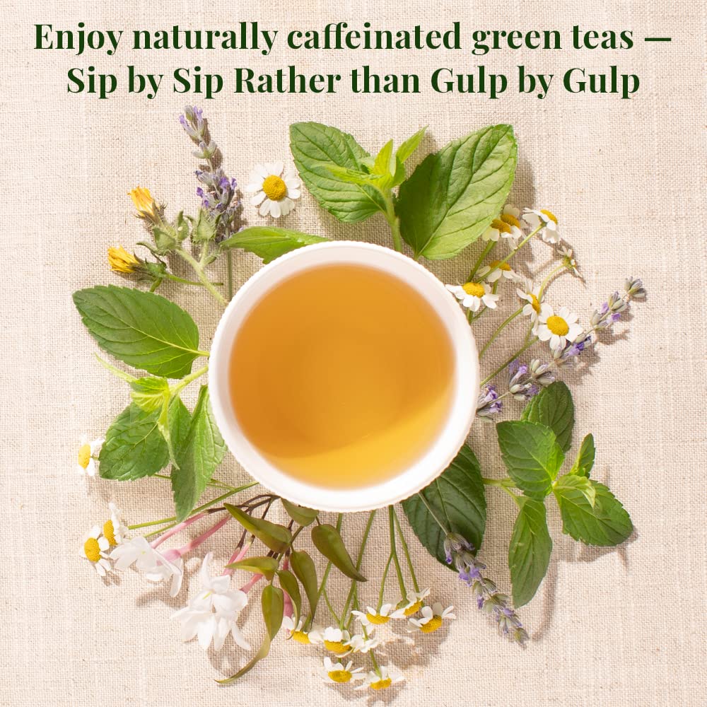 The Republic of Tea Organic Jasmine Green Tea, Low Caffeine, 50 Count | A gentle cup for everyday sipping. Fresh with light vegetal notes. USDA Organic and Gluten Free.
