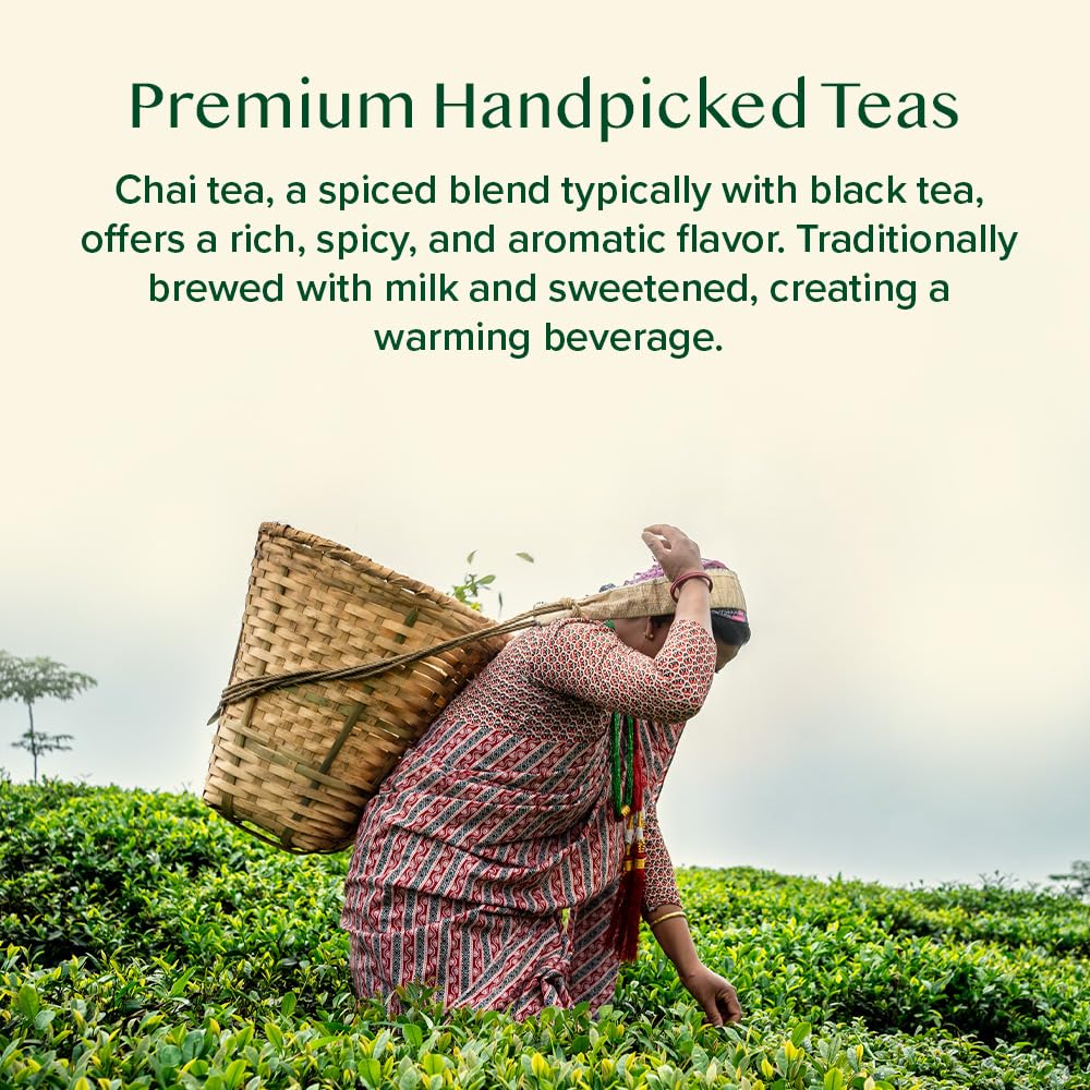 VAHDAM, Assorted Loose Leaf Chai Tea Sampler (10 Flavors, 50+ Servings) | Indian Exotic Masala Chai Tea Blends | Resealable Ziplock Pouch | Vacuum Sealed For Freshness