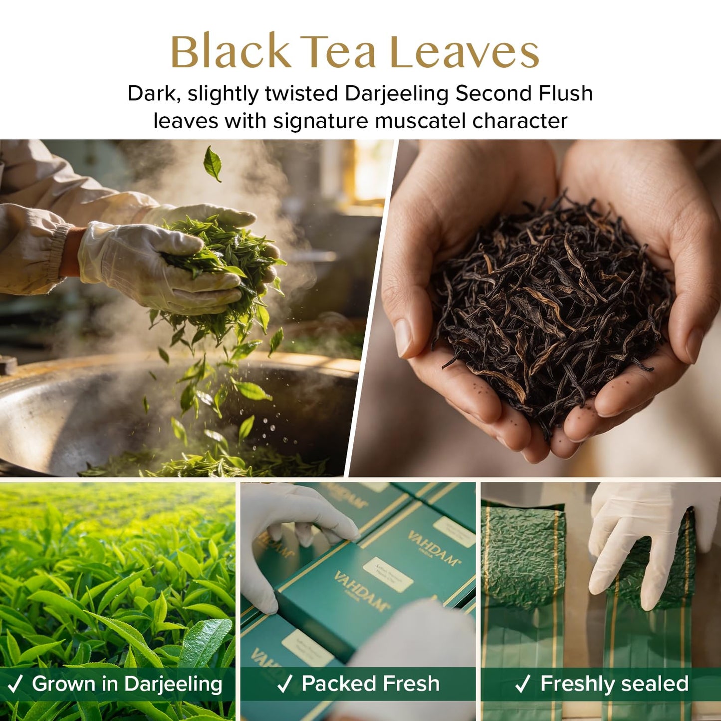 VAHDAM Muscatel Darjeeling Tea(3.53oz|50+ Cups) LIMITED EDITION Black Tea | Premium Long Leaf Quality |Fresh Harvest High Grown In Select Tea Estates | Non GMO | Direct From Souce | Vacuum Sealed Pack