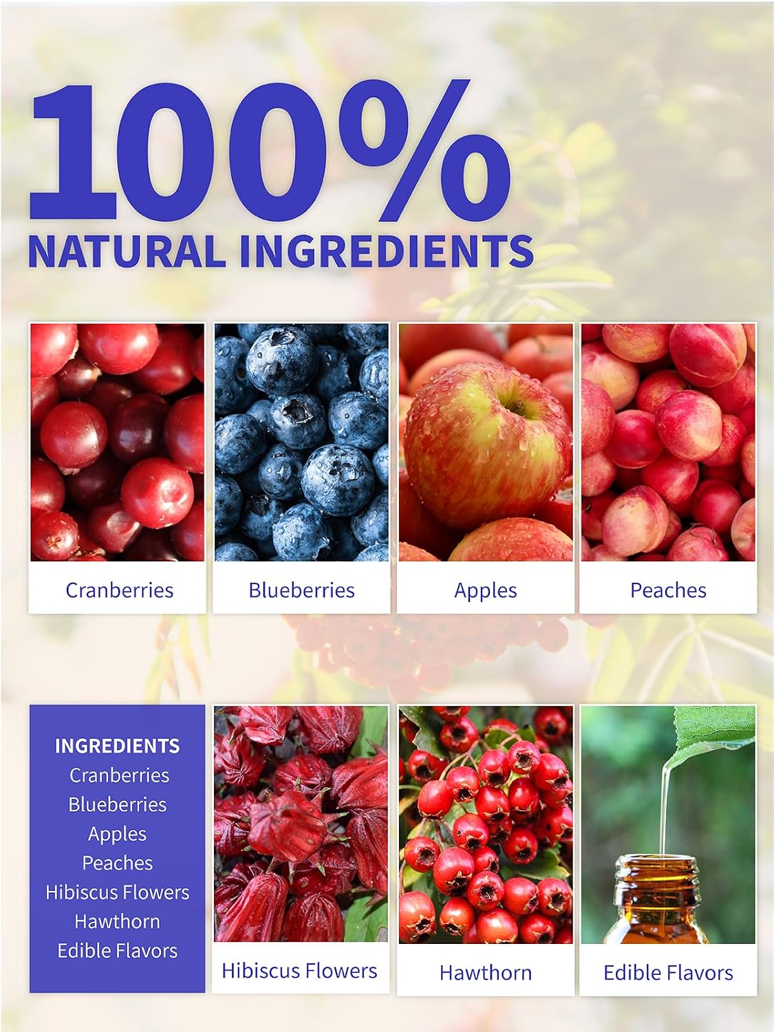 TeeLux Blueberry Hibiscus Tea Bags, Caffeine Free Fruit Herbal Tea, 30Count | Sweet &amp; Tart Fruit Flavor, Hibiscus Blend with Cranberry, Blueberry, Peach, Apple, Hibiscus, Hawthorn