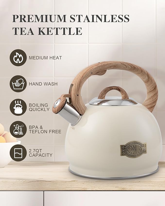 Tea Kettle Stovetop,2.7QT Stainless Steel Whistling Teapot for Stove Top Aesthetic,Portable Water Kettles Camping with Anti-hot Silicone Handle