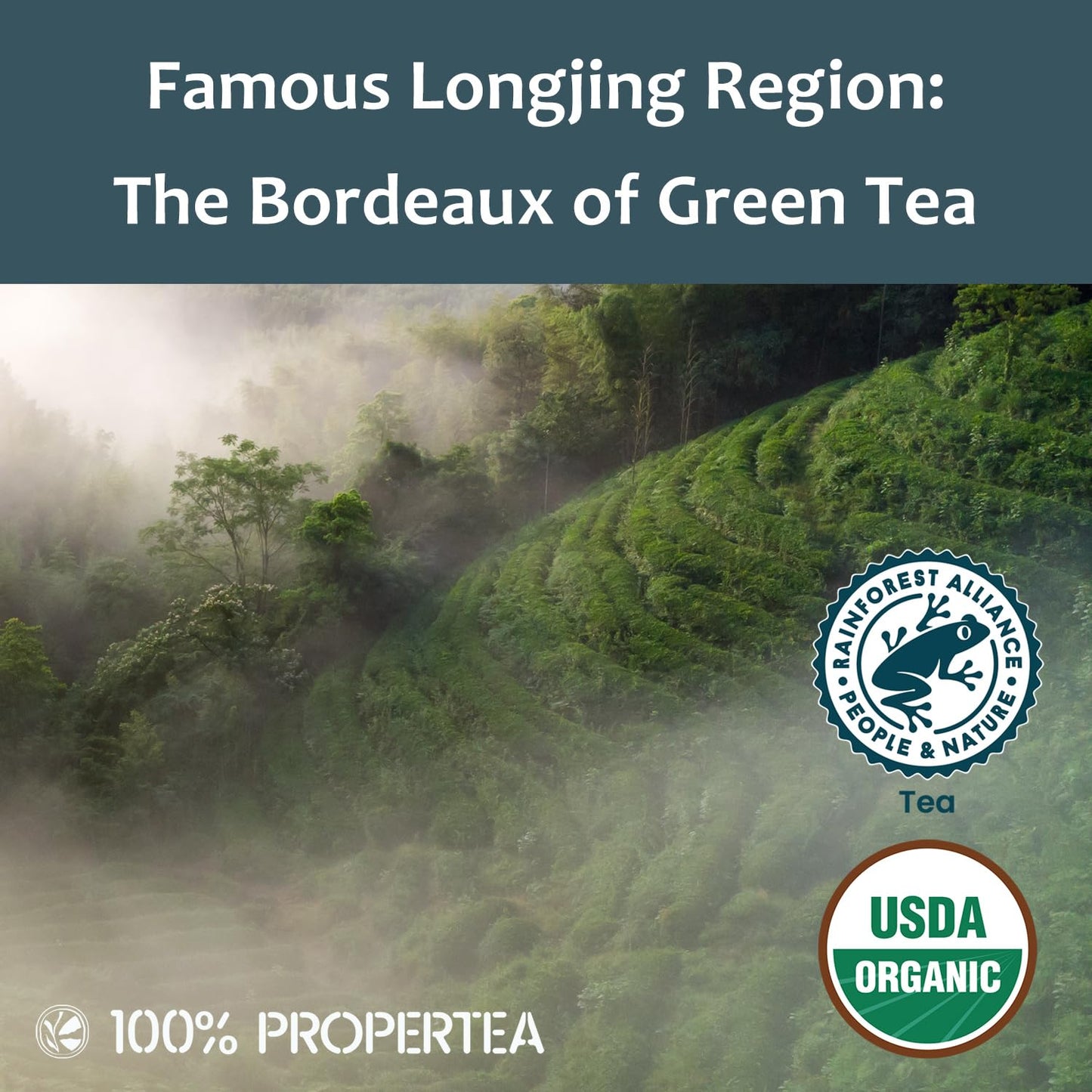 100% Propertea Organic Green Tea Bags,100 Count Eco-Friendly Tea Bags,Hot or Iced,Unsweetened,Low Caffeine, Rich in Antioxidants, Resealable Pouch,Classic Taste