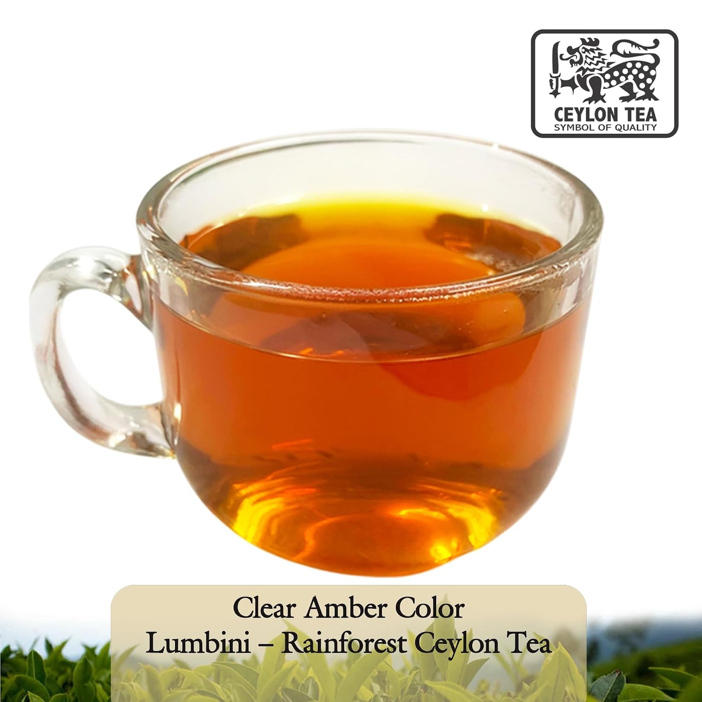 Lumbini Ceylon Black Tea BOPF Loose Leaf | Single Origin Sri Lanka Rainforest Tea | Rich Full-Bodied Flavor | Includes Wooden Tea Spoon (800g (400g 2packs))