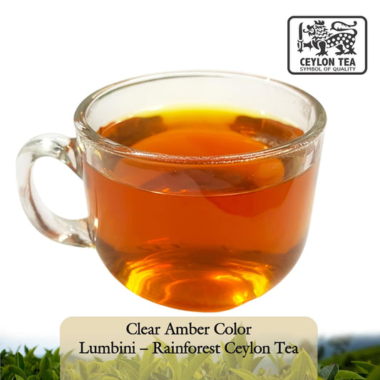 Lumbini Ceylon Black Tea BOPF Loose Leaf | Single Origin Sri Lanka Rainforest Tea | Rich Full-Bodied Flavor | Includes Wooden Tea Spoon (800g (400g 2packs))