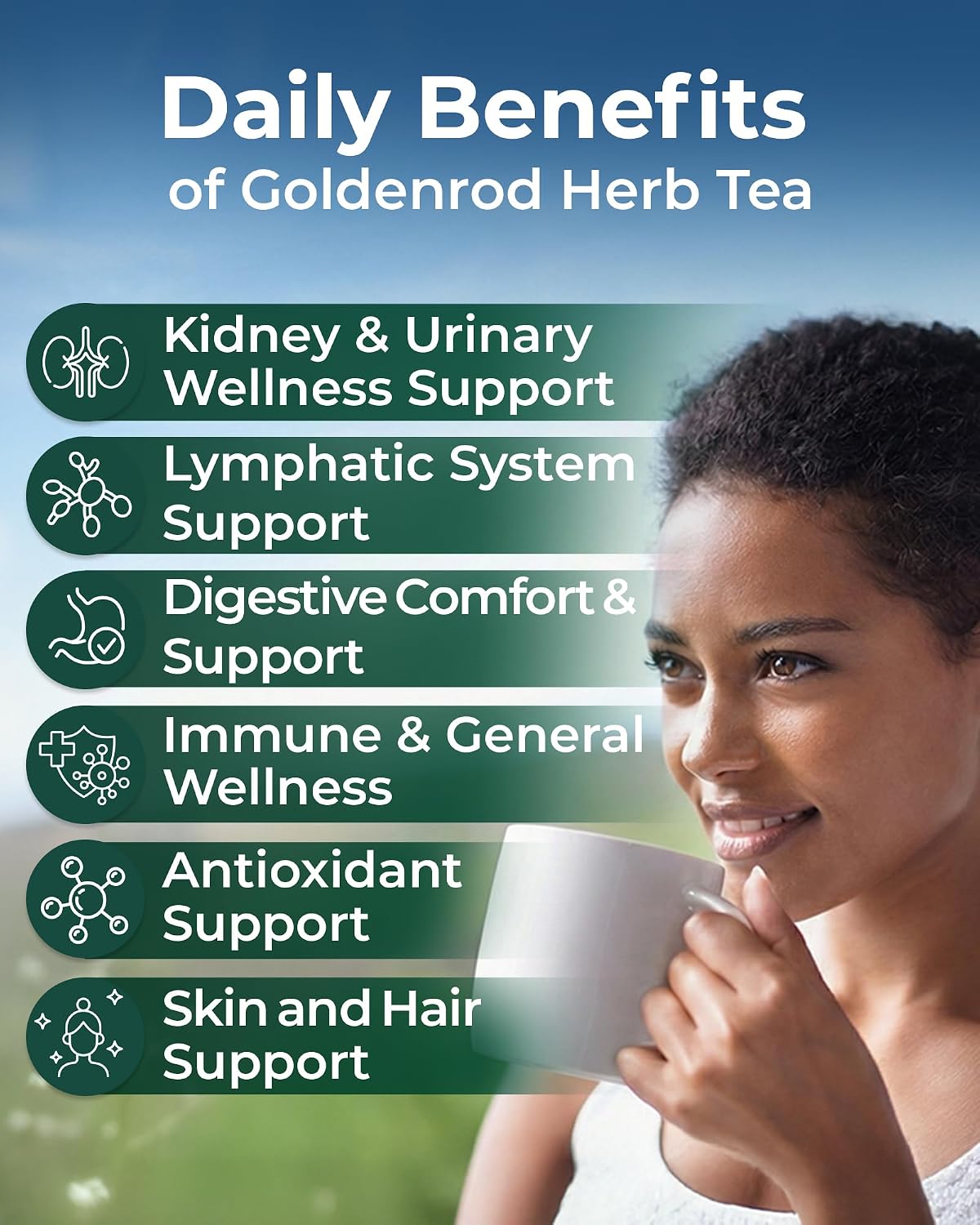 1.8 oz. Goldenrod Tea Herb Golden Root (Solidago Virgaurea L.) - 50g Dried Golden Rod Herbs Herbal Tea