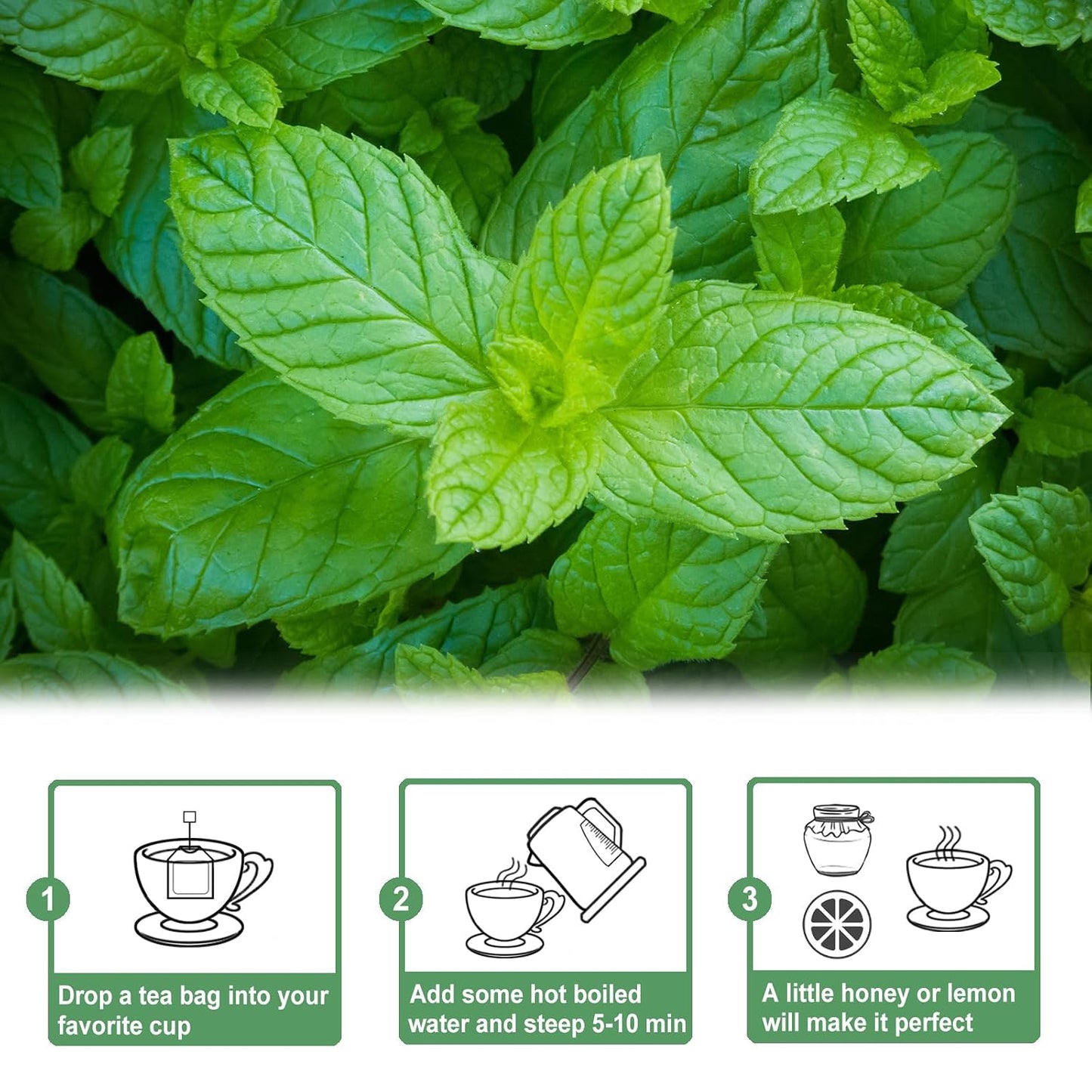 TEARELAE - Spearmint Tea Bags, 50 Count, Spearmint Leaves Herbal Tea