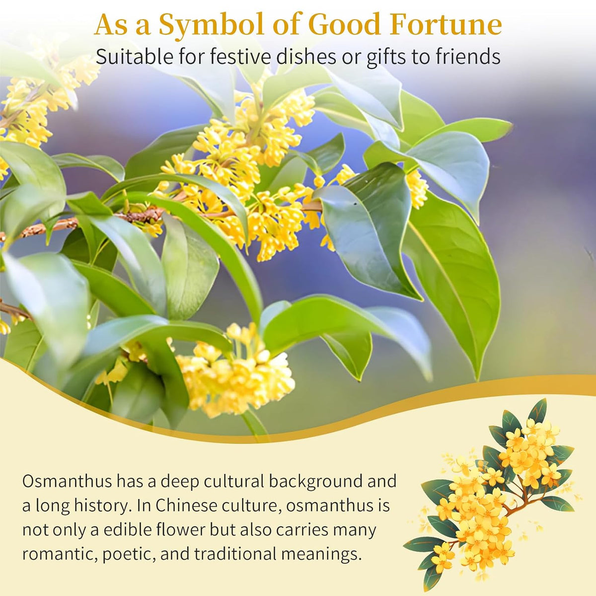 Hee Creek Osmanthus Fragrans Herb Loose Leaf Tea Dried Osmanthus Flower Tea 3.53 oz/100g 桂花 干桂花 桂花糕 桂花蜜