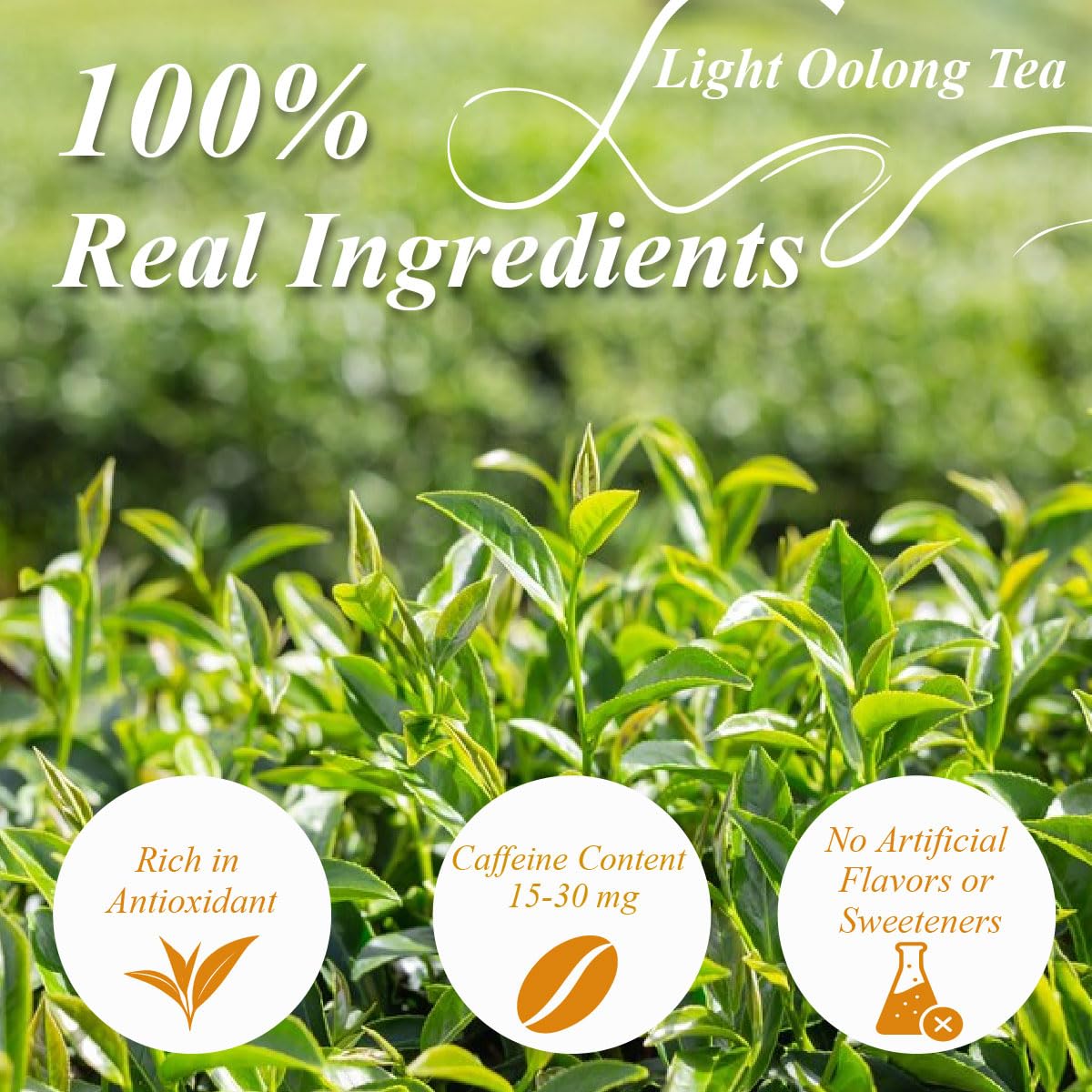 WT WEETEE Oolong Tea Bags 100 Count, Floral & Slightly Fruity Chinese Oolong Tea, Super Antioxidant | Resealable Kraft Bag | Brew Hot or Iced