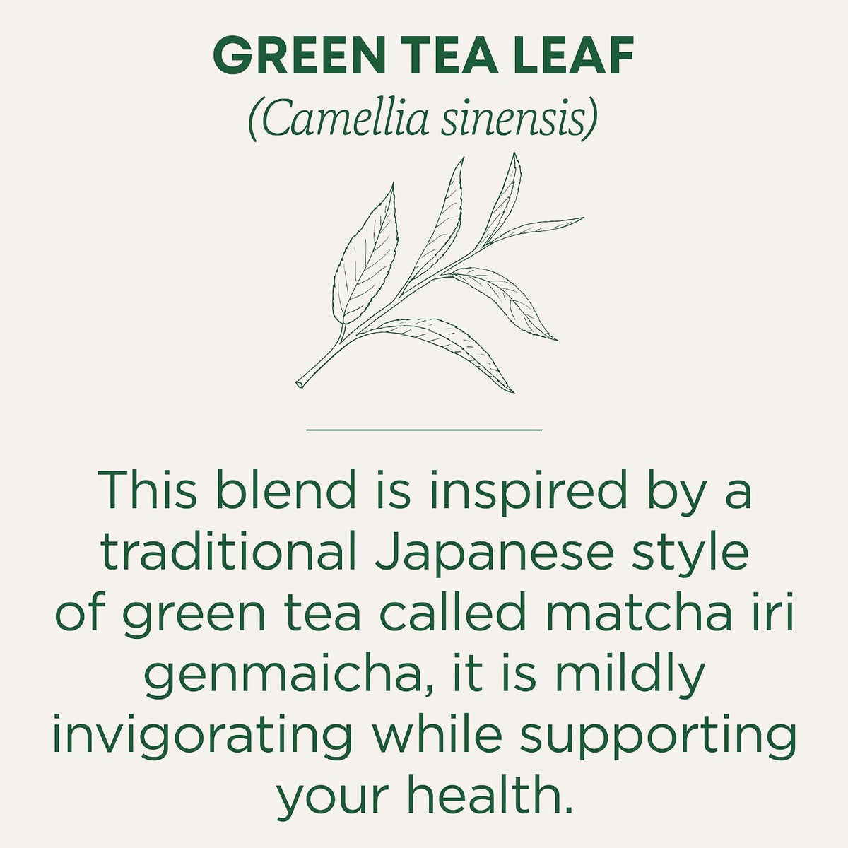 Traditional Medicinals Organic Green Tea Matcha Genmaicha, 96 Tea Bags