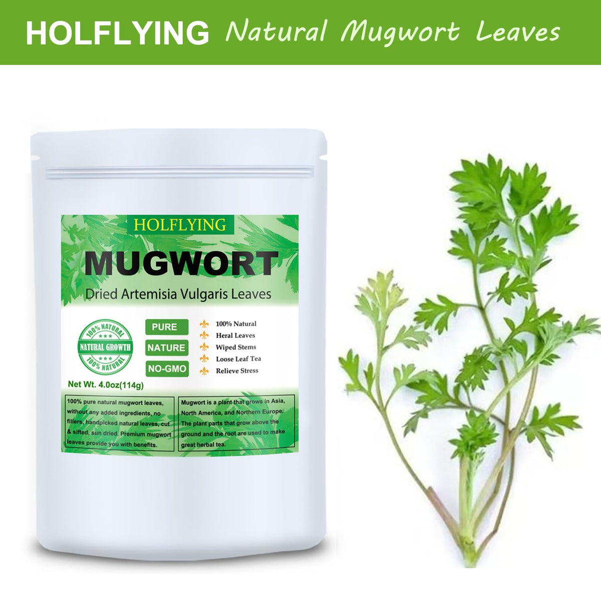 HOLFLYING Dried Mugwort Leaves, 4oz(114g), Natural Artemisia Vulgaris Herb Loose Leaves, 100% Natural Mugwort Tea, No Gmo