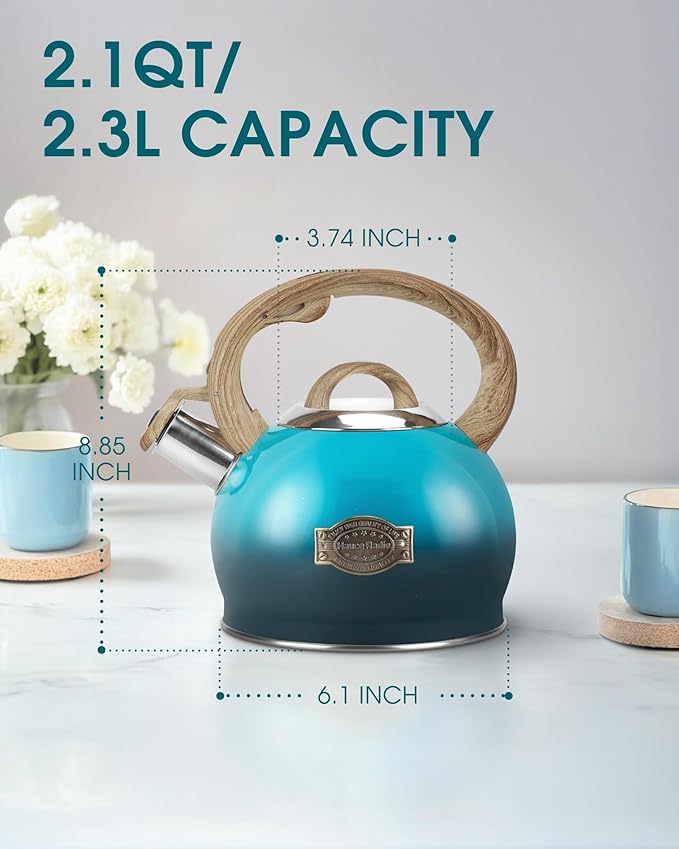 Tea Kettle, Whistling Stovetop Teapot Food Grade Stainless Steel Tea Kettles for Stove Top with Anti-hot Ergonomic Handle,Kettle Spout for Tea