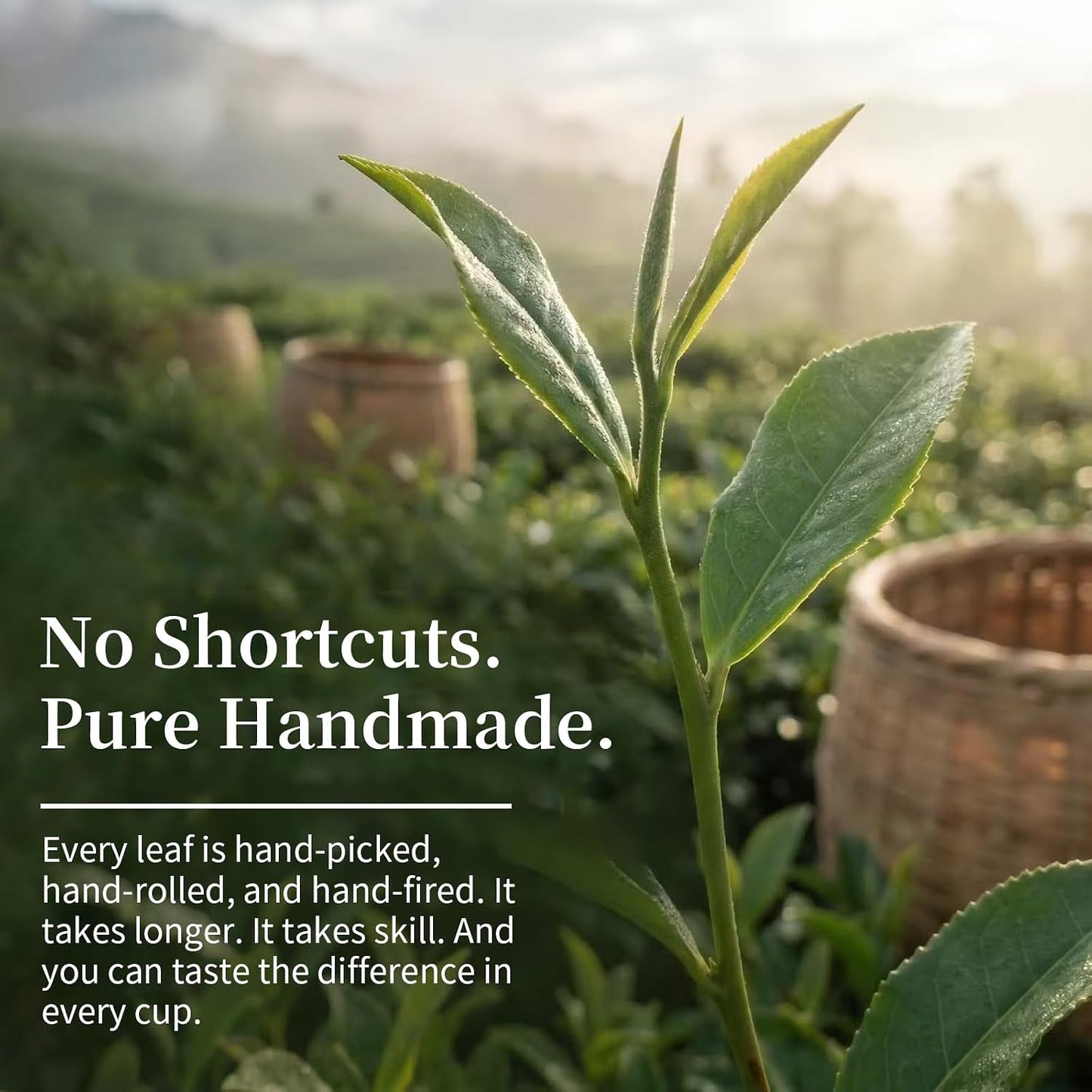 Yuexi Premium Alishan Oolong Tea Loose Leaf, 5.3oz/150g Authentic Formosa High Mountain Tea, Handcrafted Traditional Gaoshan Tea, Elegant Floral Honey Flavor, Hot &amp; Cold Brew 120 Cups 阿里山 台湾茶 高山乌龙茶