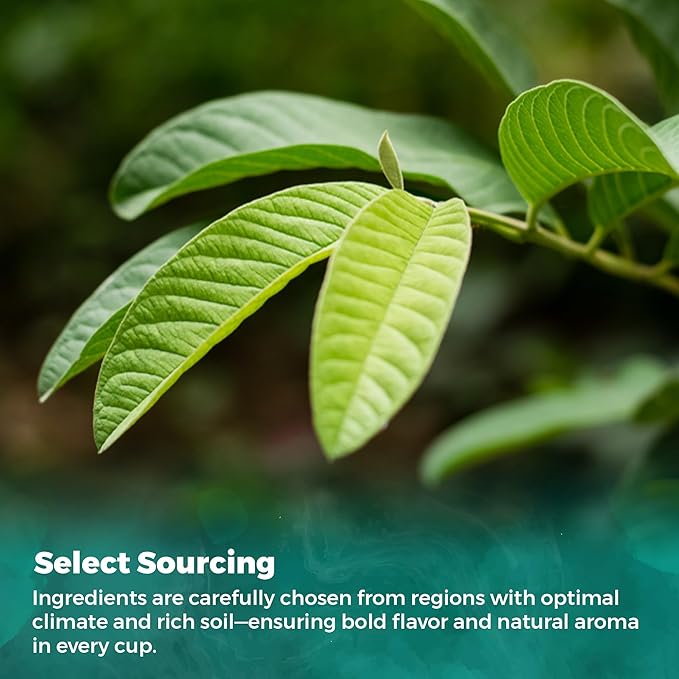 USA Fresh Guava Leaves Tea, Natural and Pure, All-Natural Herbal Tea from Handpicked Guava Leaves, No Additives or Preservatives
