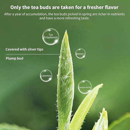 Yuexi White Tea Loose Leaf Grade AAA Tea Baihao Yinzhen Tea 100g/3.52oz 白茶 白毫银针 中国茶