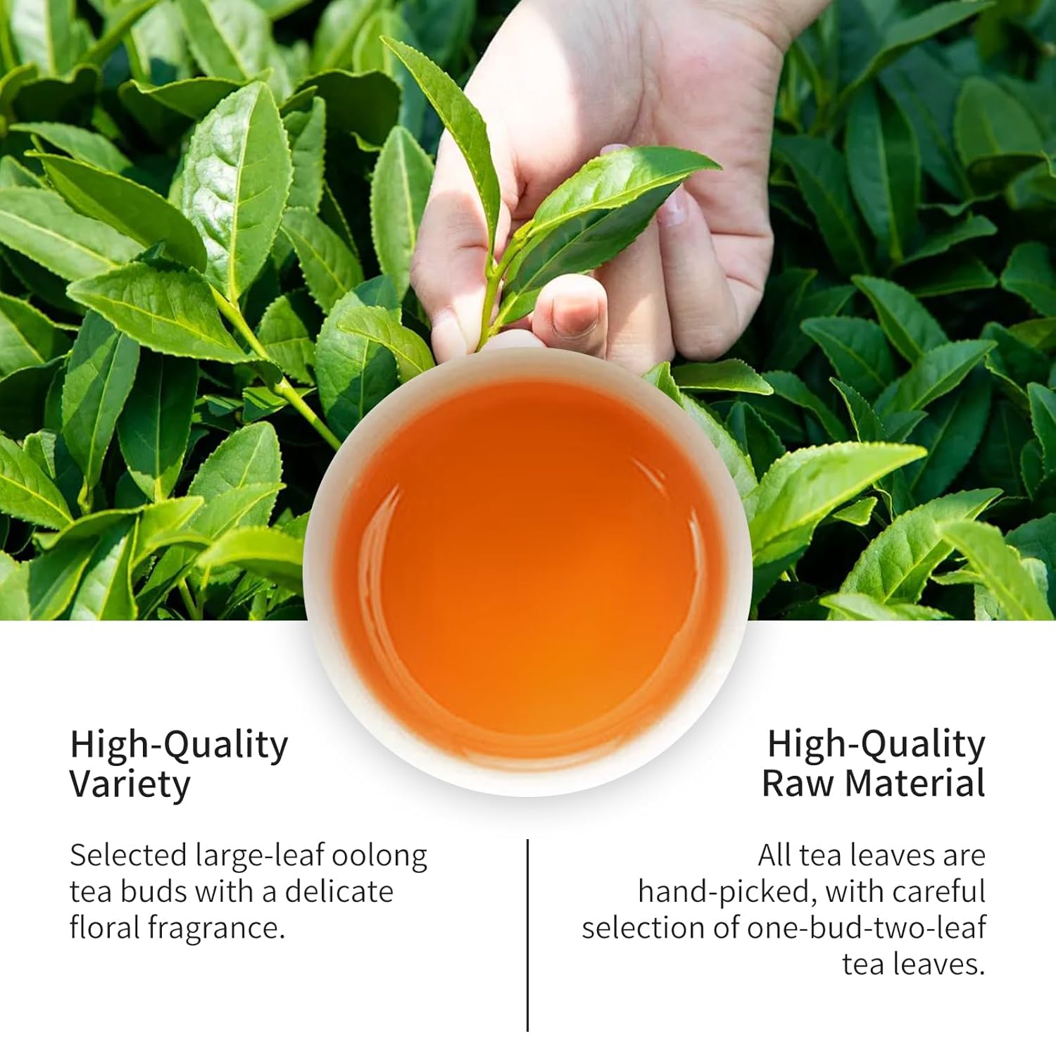 CHADUO Taiwan Honey Black Tea Loose Leaf Chinese Taiwan High Mountain Black Tea Leaves 100g/3.53oz Grade AAA With Natural Honey Aroma 红茶 台湾红茶 台湾茶