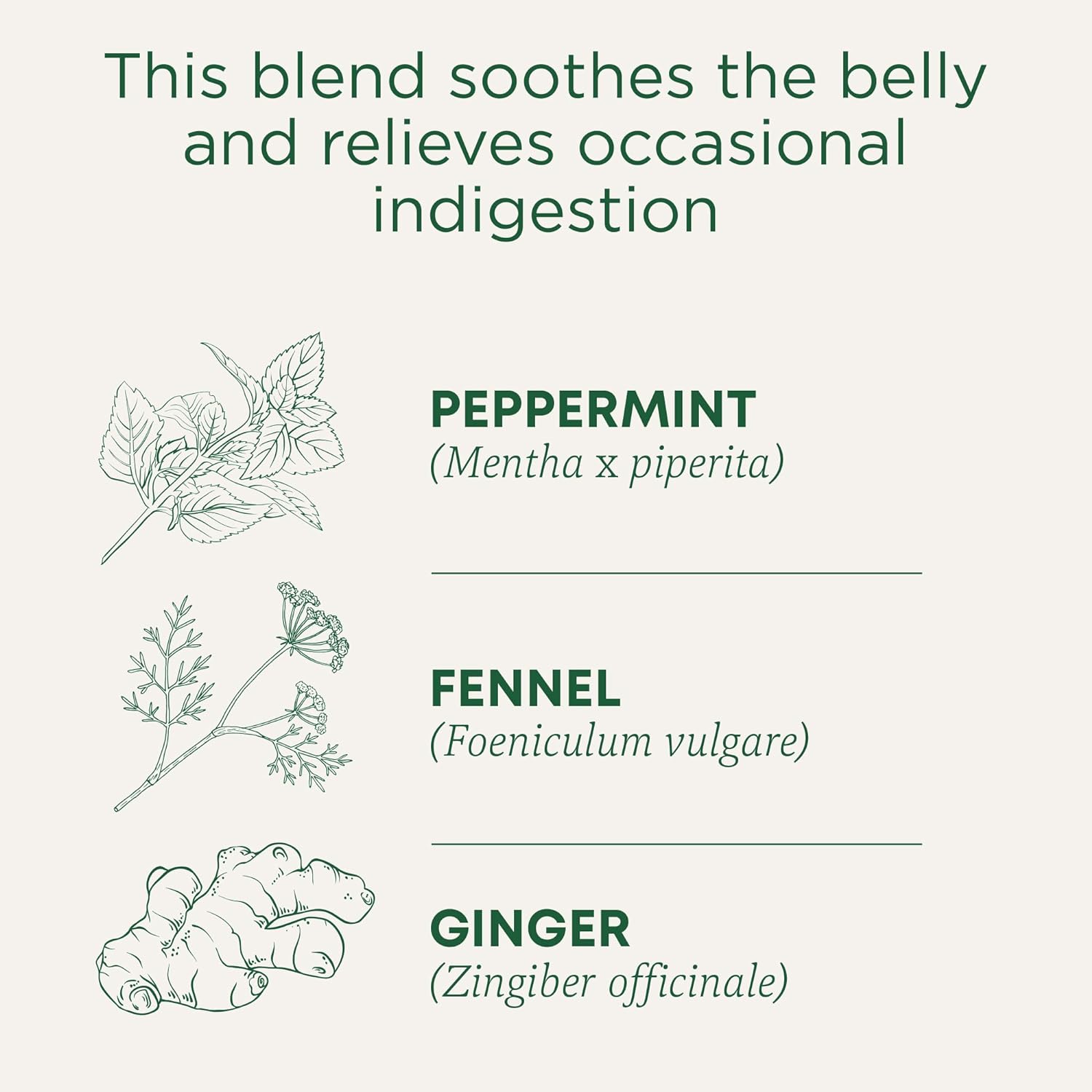 Traditional Medicinals Tea, Organic Belly Comfort Peppermint, Promotes Healthy Digestion, 16 Tea Bags
