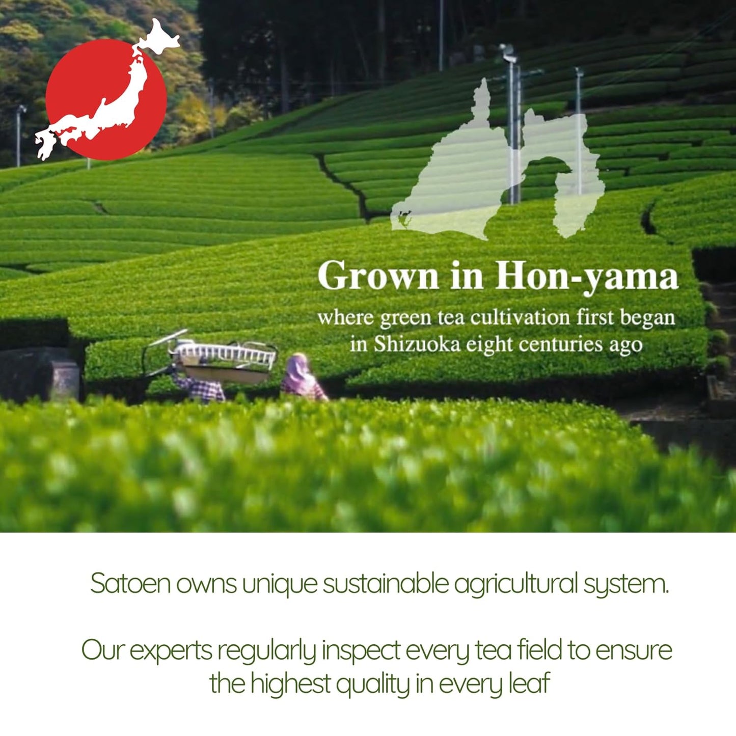 Satoen Superior Ceremonial Grade Matcha Powder 1oz (30g) – 100% Spring First Harvest MADE IN JAPAN