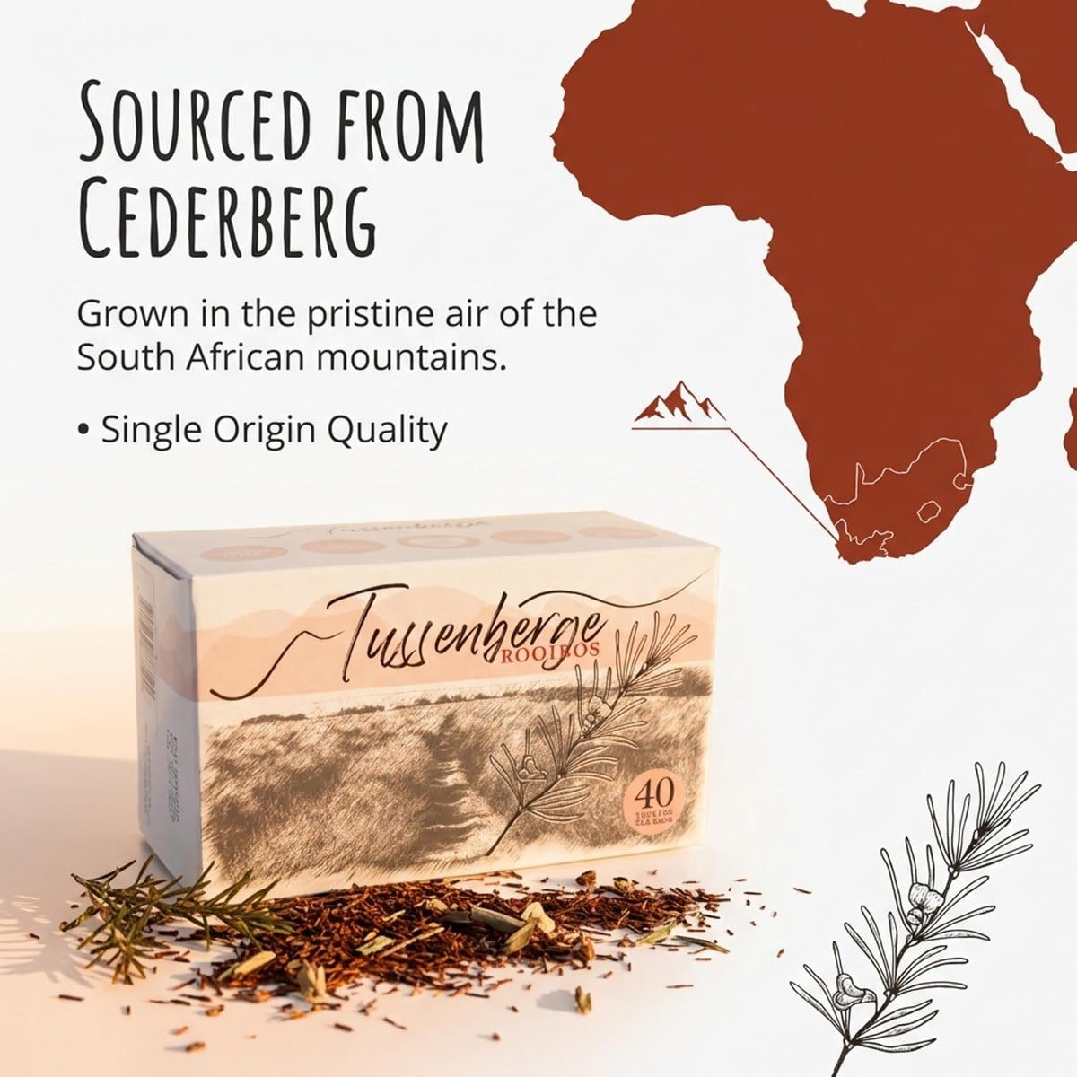 Tussenberge Organic Rooibos Tea Bags – Premium South African Red Bush Herbal Tea, Smooth &amp; Full-Bodied Flavor, Naturally Caffeine-Free, 40 Tagless Tea Bags