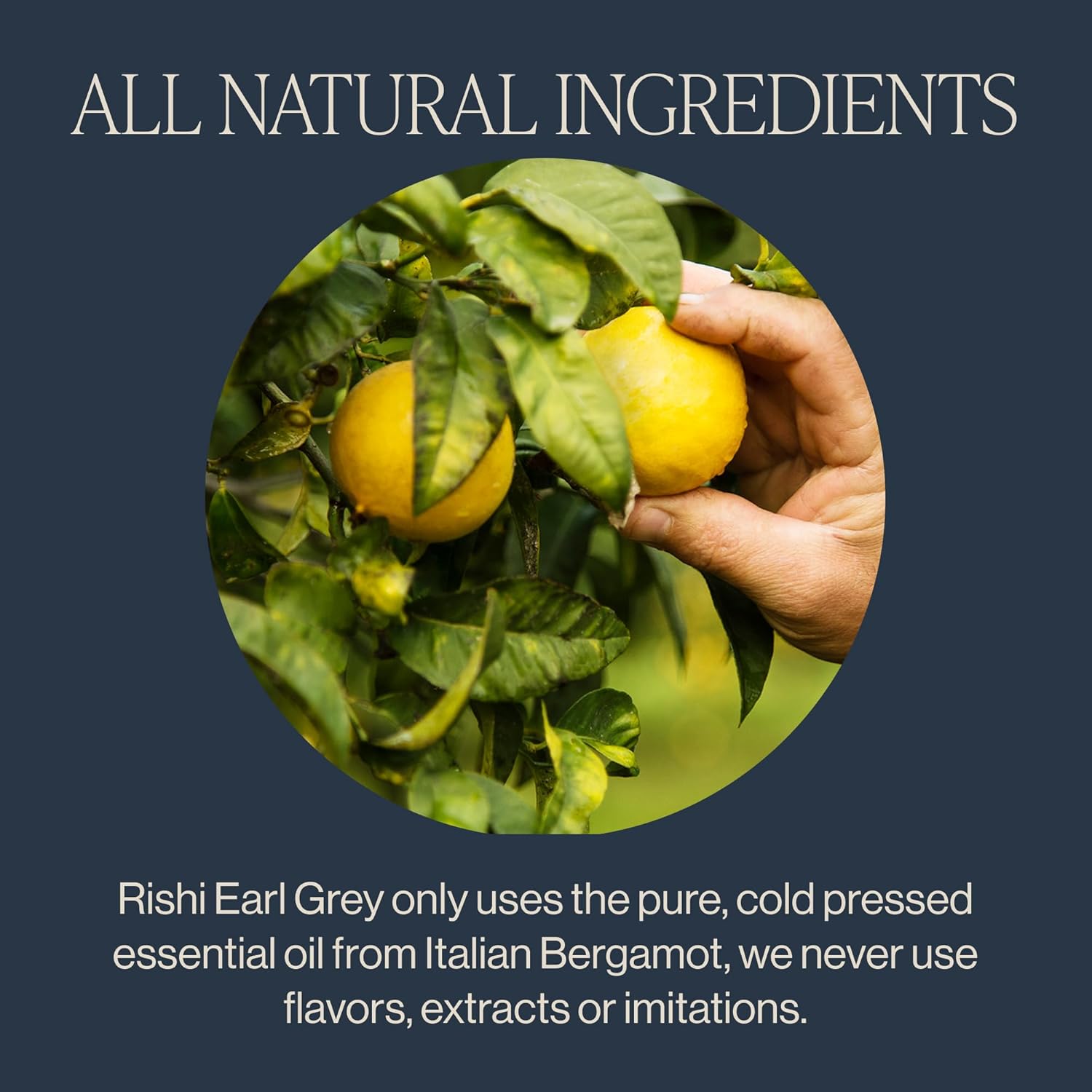 Rishi Tea Earl Grey Black Sachet Tea Bags - Pure Organic with Bergamot Oil, Energizing & Caffeinated - 30 Count