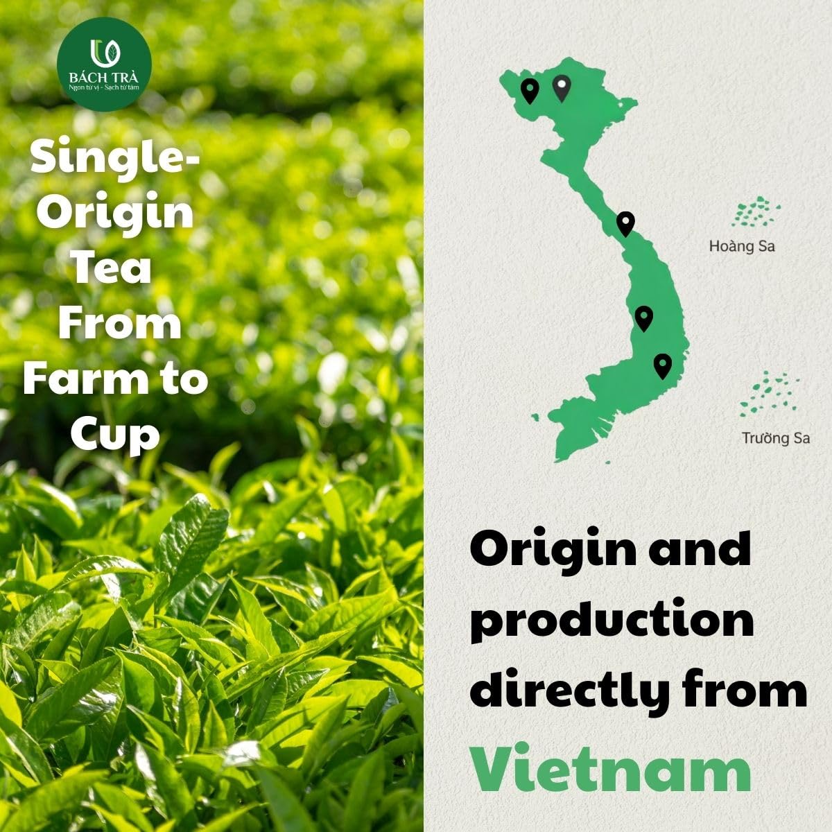 BACH TRA Green Tea Loose Leaf 17.64 oz | Authentic Thai Nguyen Tea Buds | Smooth & Naturally Low Caffeine | Large Value Pack