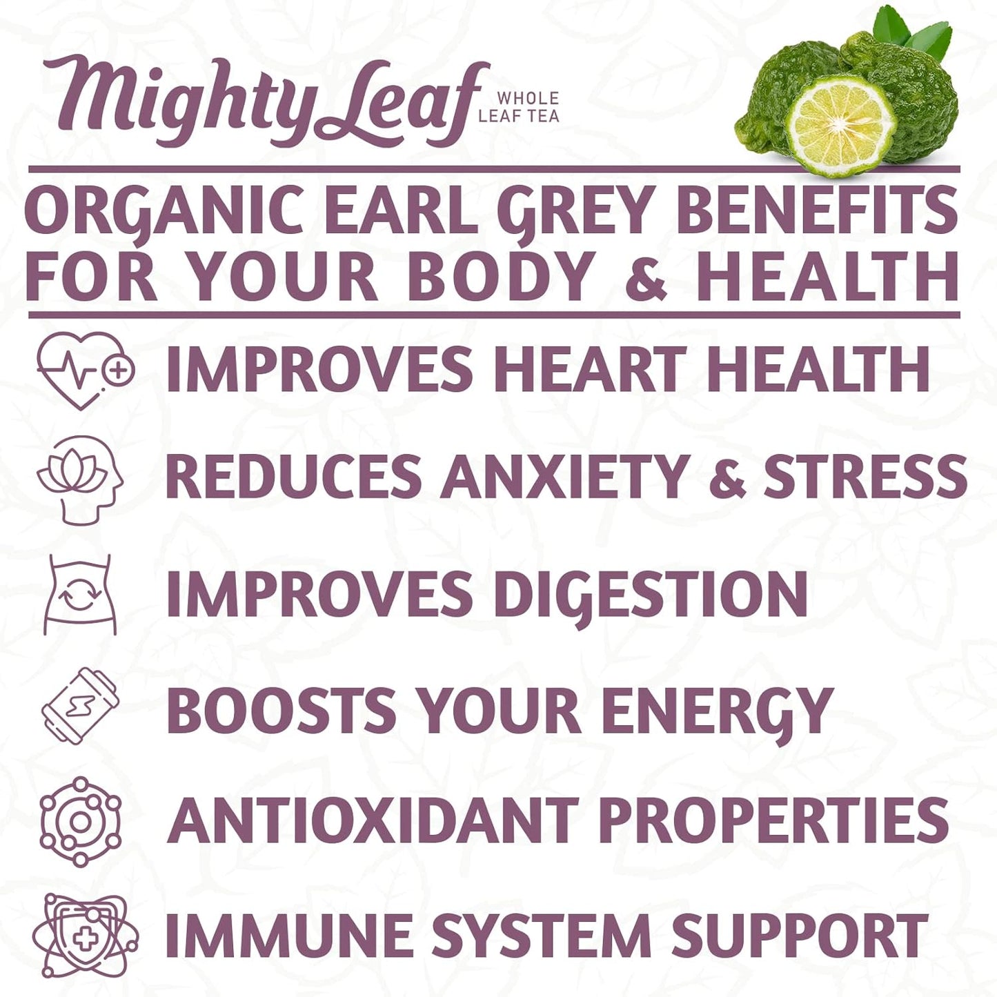 Mighty Leaf Organic Earl Grey Tea – 100 Count Whole Leaf Tea Pouches – Black Tea with Bergamot – Premium Caffeinated Tea Bags – USDA Organic Certified