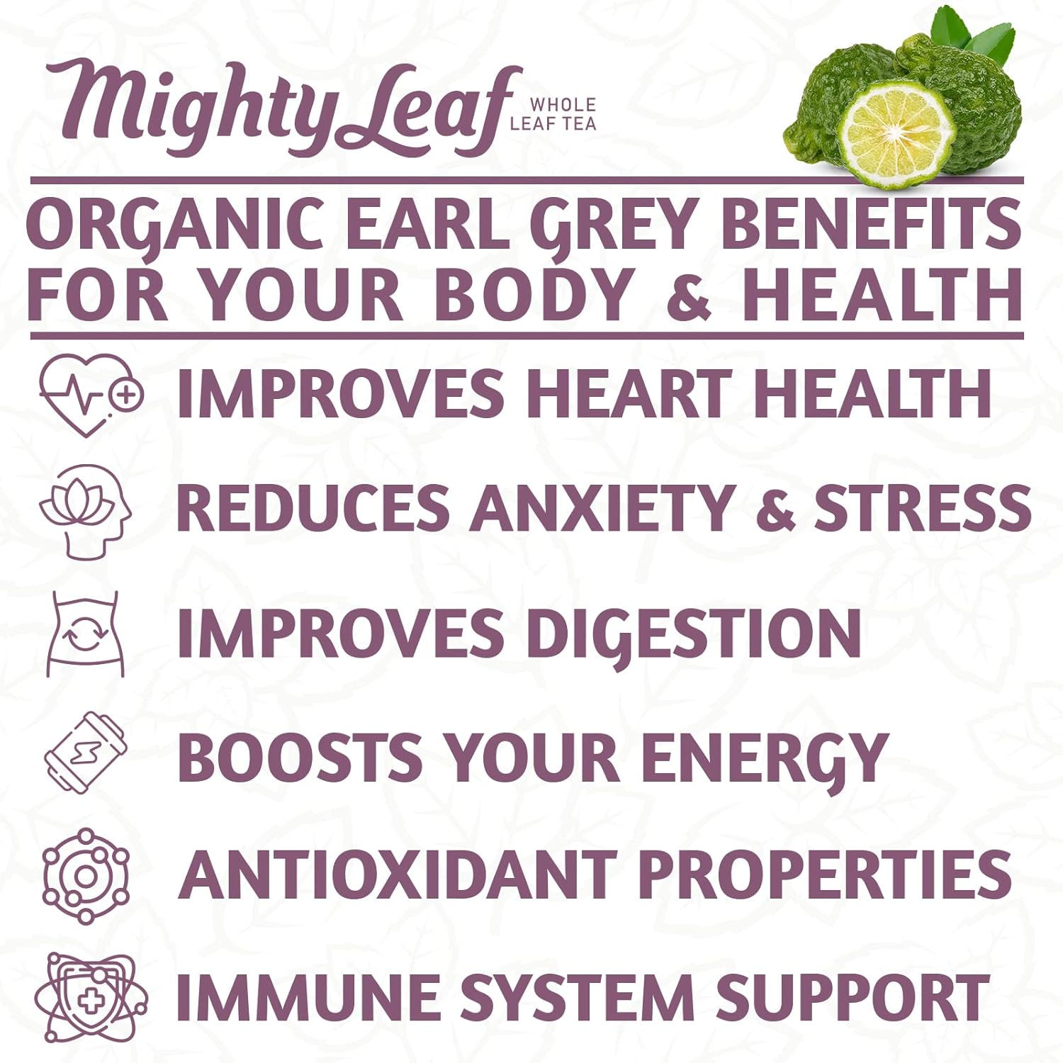 Mighty Leaf Organic Earl Grey Tea – 100 Count Whole Leaf Tea Pouches – Black Tea with Bergamot – Premium Caffeinated Tea Bags – USDA Organic Certified