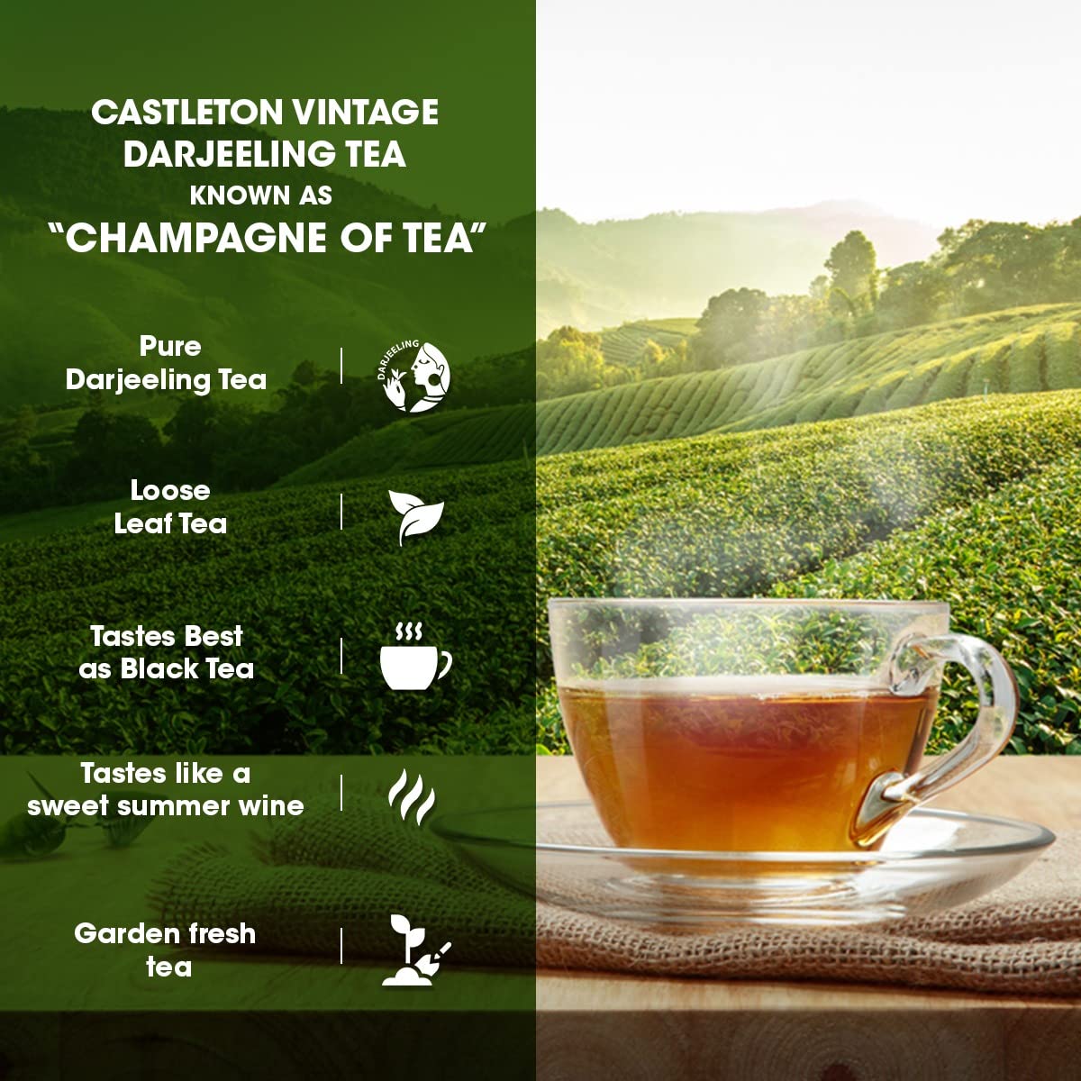 Castleton Vintage Darjeeling Tea - 100gm (Pack of 2)