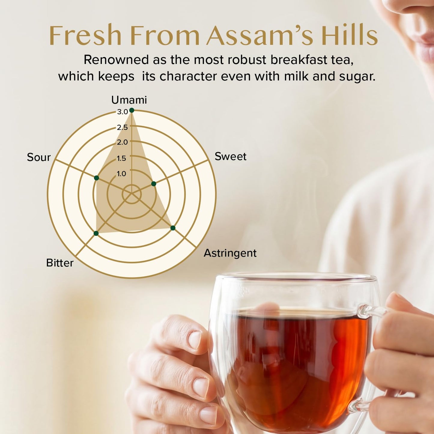 VAHDAM Assam Black Tea Leaves (12oz|170+ Cups) Quality Black Tea Loose Leaf | Malty &amp; Rich |Caffeinated, Non GMO |Pure Unblended Single Origin Black Loose Leaf Tea |Vacuum Sealed |Enjoy with/without milk