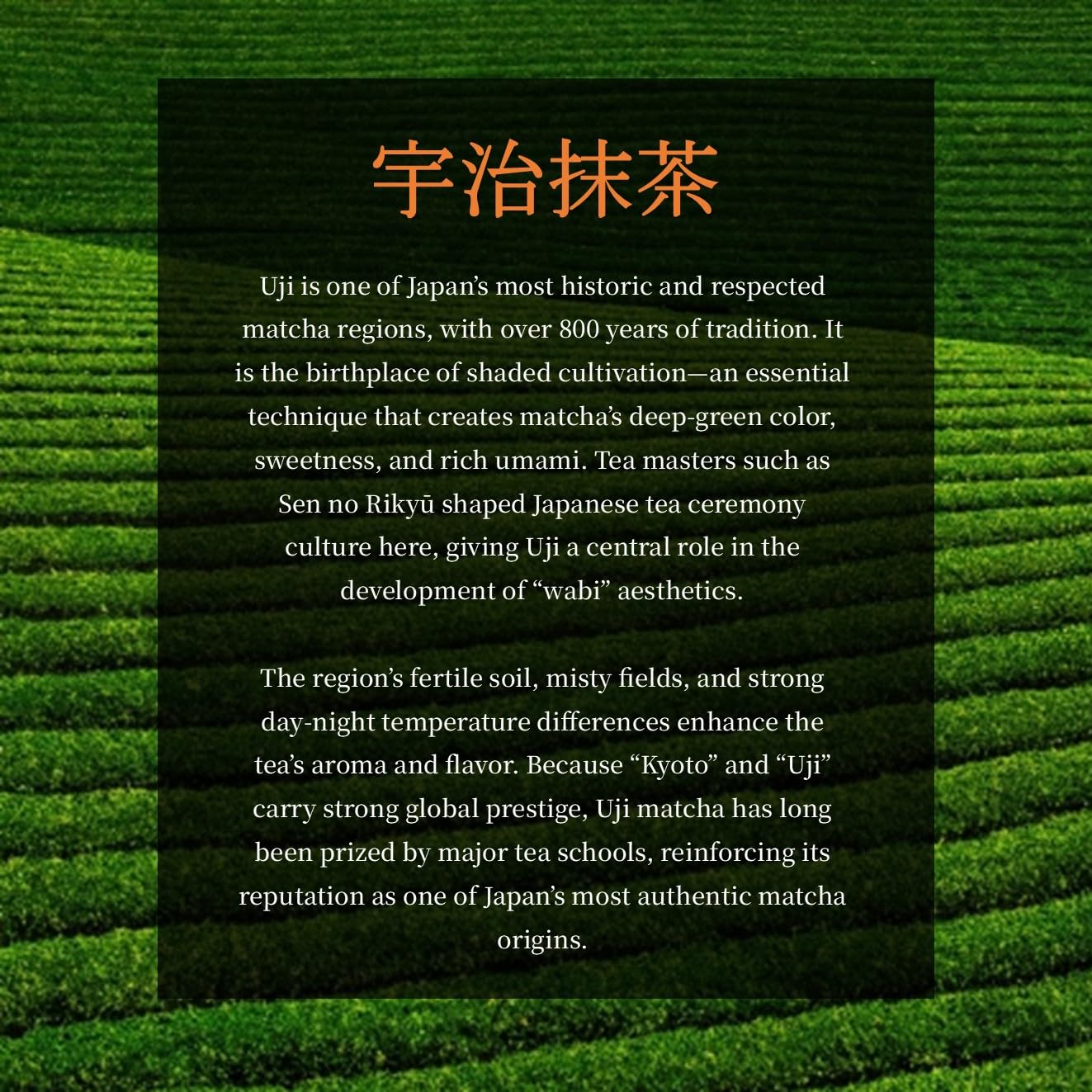 JEAU CHAU Uji Matcha Powder from Kyoto Japan - Ceremonial Grade 3.5oz (100g) - Premium Japanese Green Tea Powder for Latte, Baking & Traditional Tea - 50 Servings