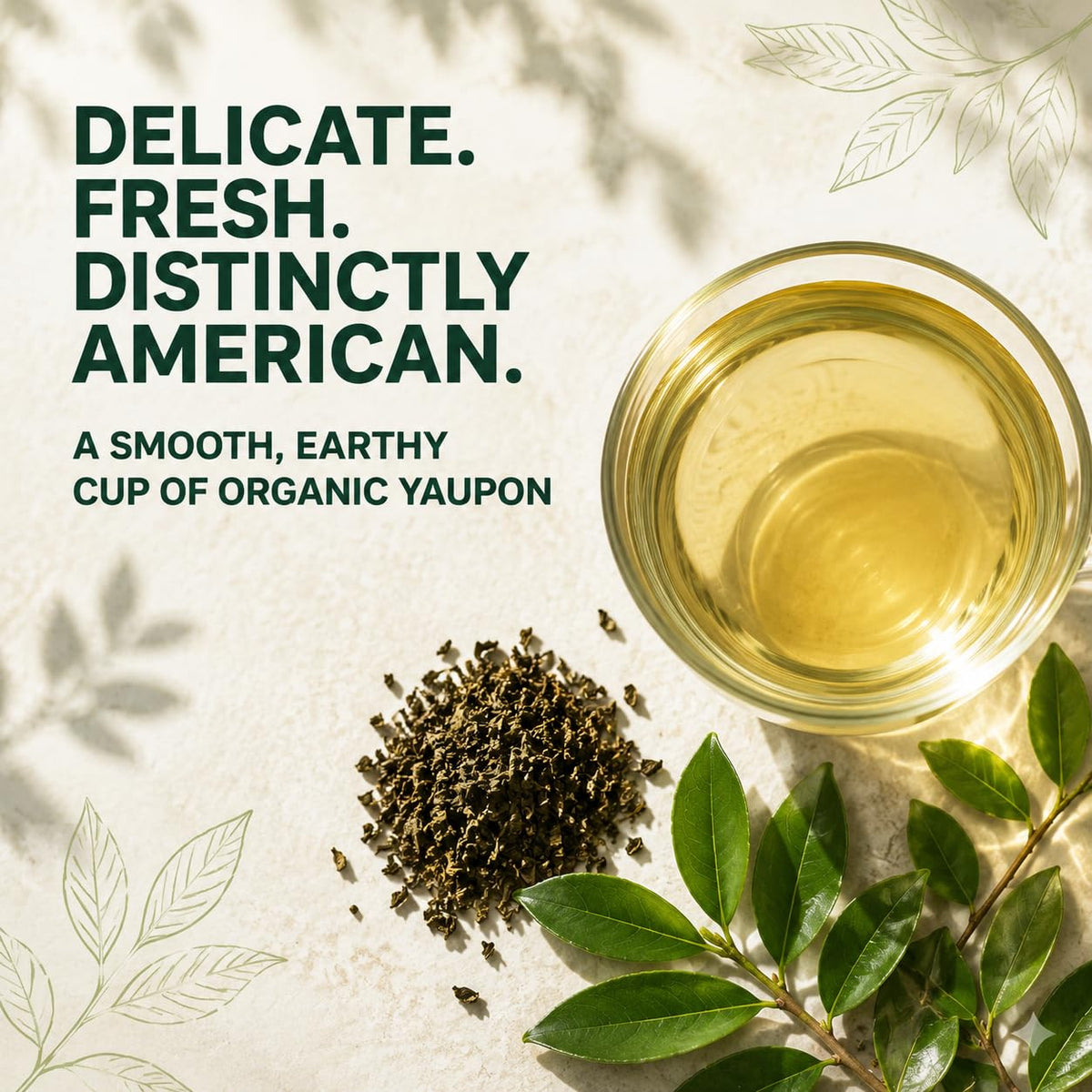 Yaupon Brothers American Green Yaupon Tea, Organic, 16 Tea Bags