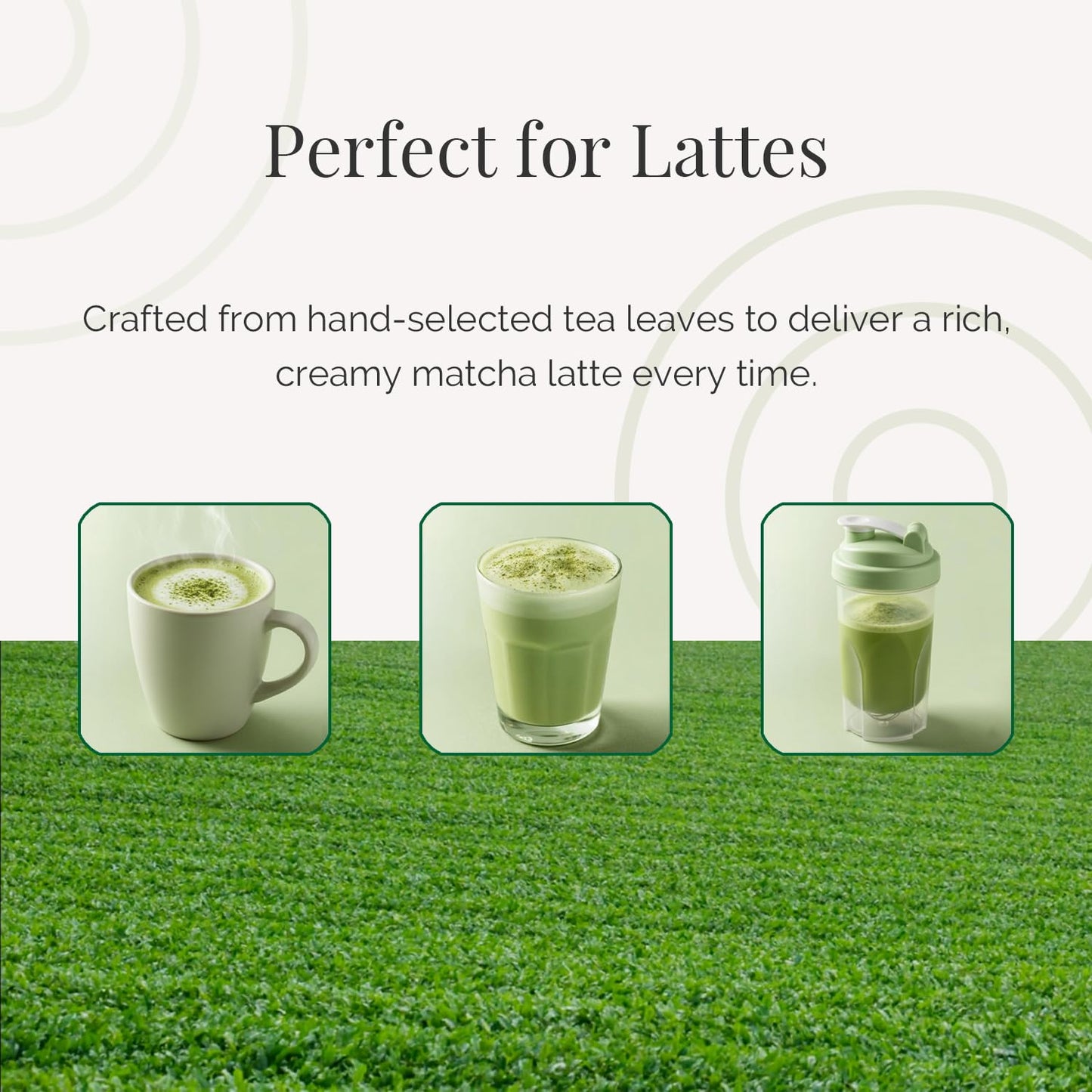 TAKENAKAEN SASHICHI Shinokaze no Shiro Ceremonial Grade Matcha Green Tea Powder, Premium Japanese Matcha, Authentic Made in Japan, 30g