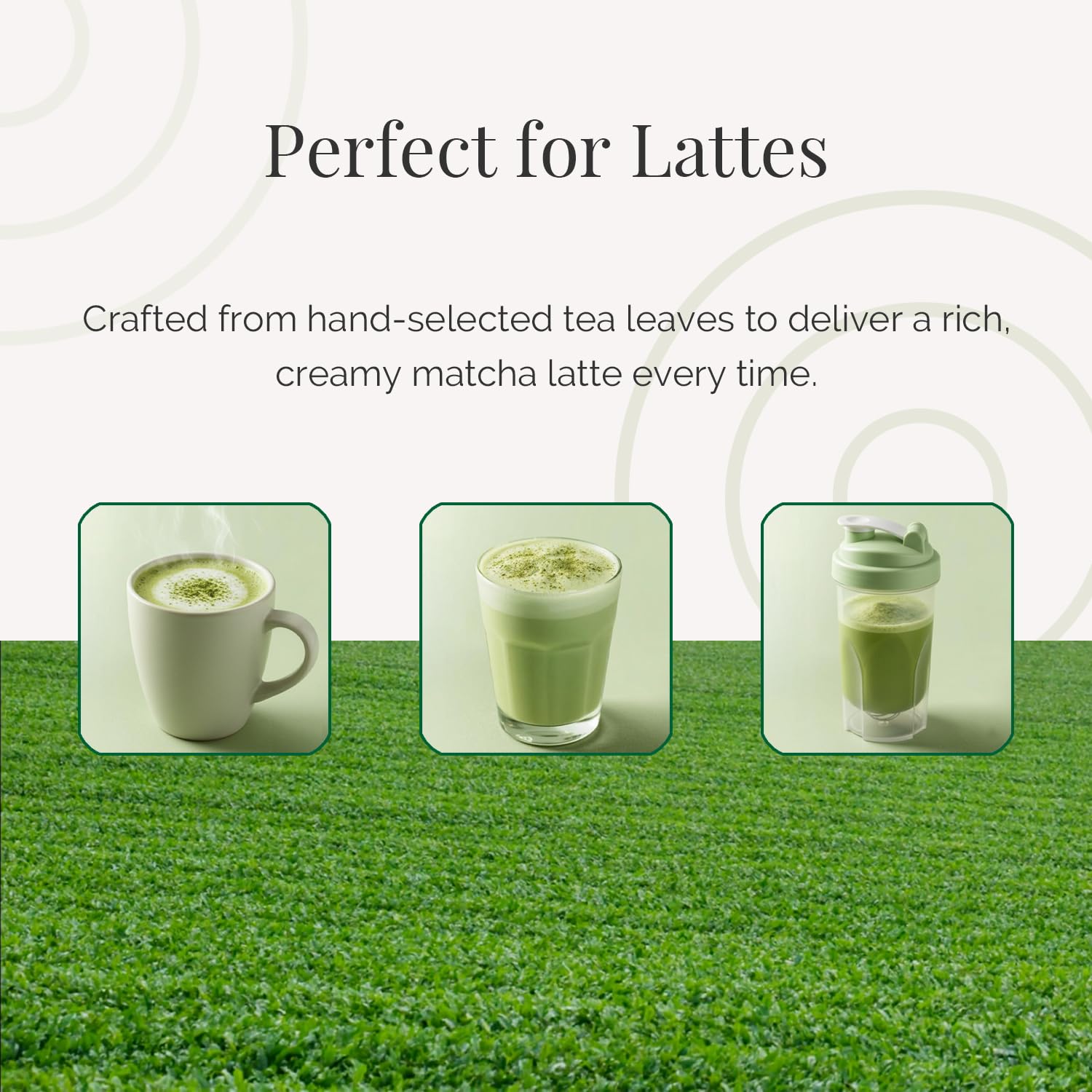 TAKENAKAEN SASHICHI Shinokaze no Shiro Ceremonial Grade Matcha Green Tea Powder, Premium Japanese Matcha, Authentic Made in Japan, 30g