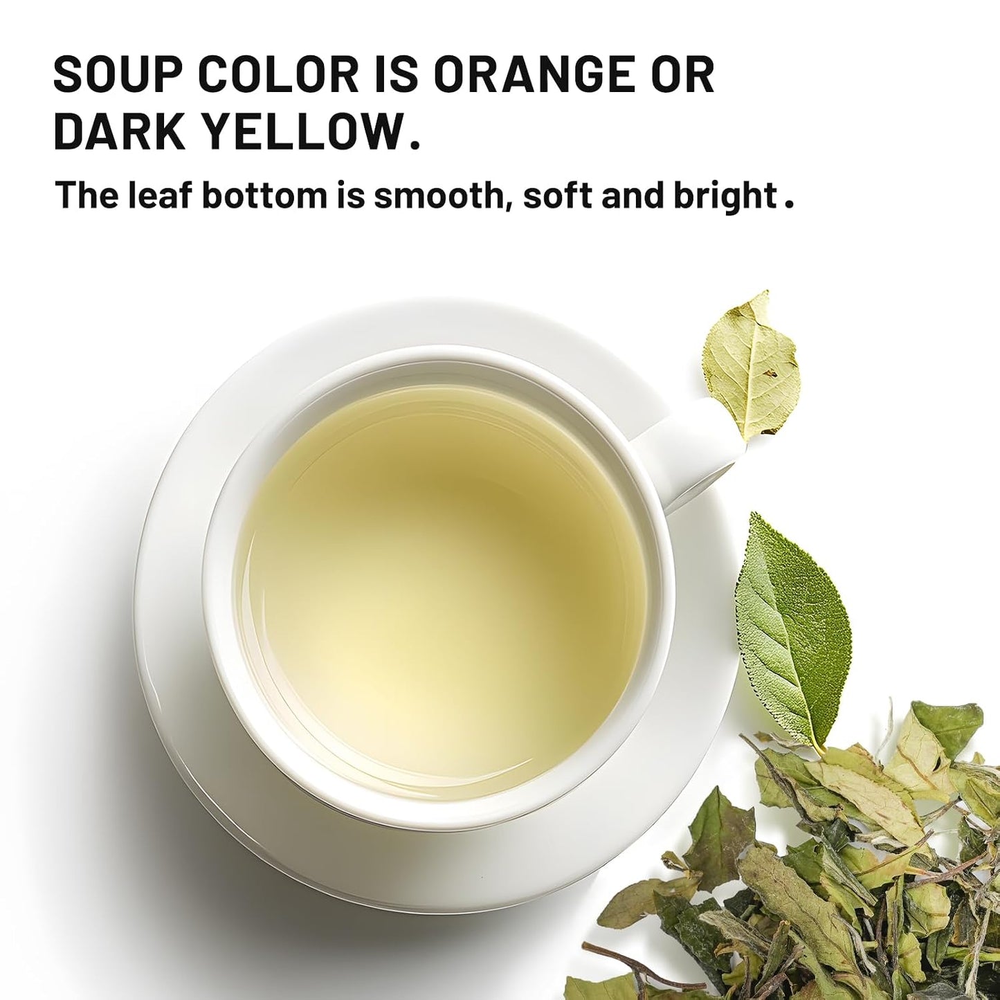 iTeaworld Gongmei Loose Leaf White Tea,Low Caffeine Multiple Steeping 1.7oz