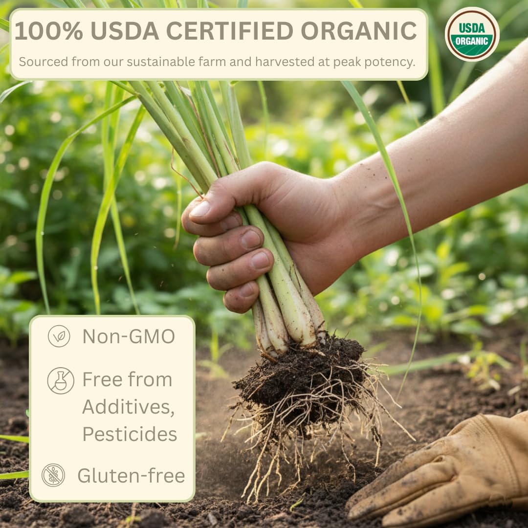 Organic Lemongrass Tea Bags - 40 Natural Corn Fiber Sachets - for Hot or Cold Drinks - Caffeine Free