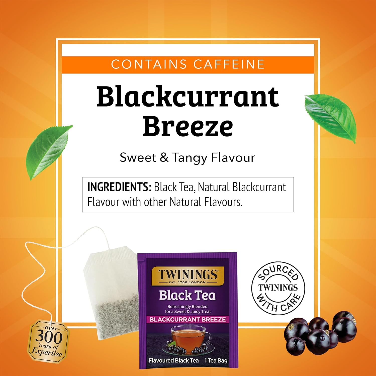 Twinings Blackcurrant Breeze Black Tea Individually Wrapped Bags, 20 Count (Pack of 2), Sweet, Tangy Taste, Caffeinated, Enjoy Hot or Iced, 40 Teabags