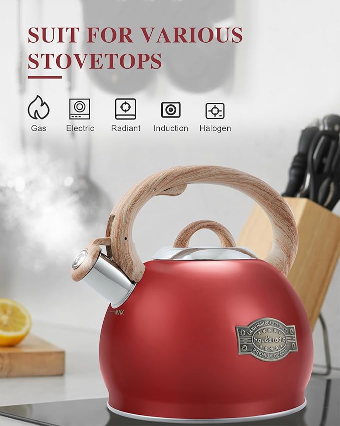 Tea Kettle Stovetops, 2.7 Quart Food Grade Stainless Steel Water kettles for Stove Top Teatop with Anti-hot Ergonomic Handle
