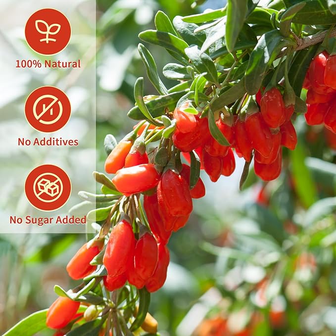 ANTAKUBU Goji Berries 160g(5.64OZ),100% Natural Wolfberry for Making Goji berry tea,Beverages,Oatmeal and Snacks,No Additives Dried Goji Berries,Fiber,Vegan,Kosher,Gluten Free