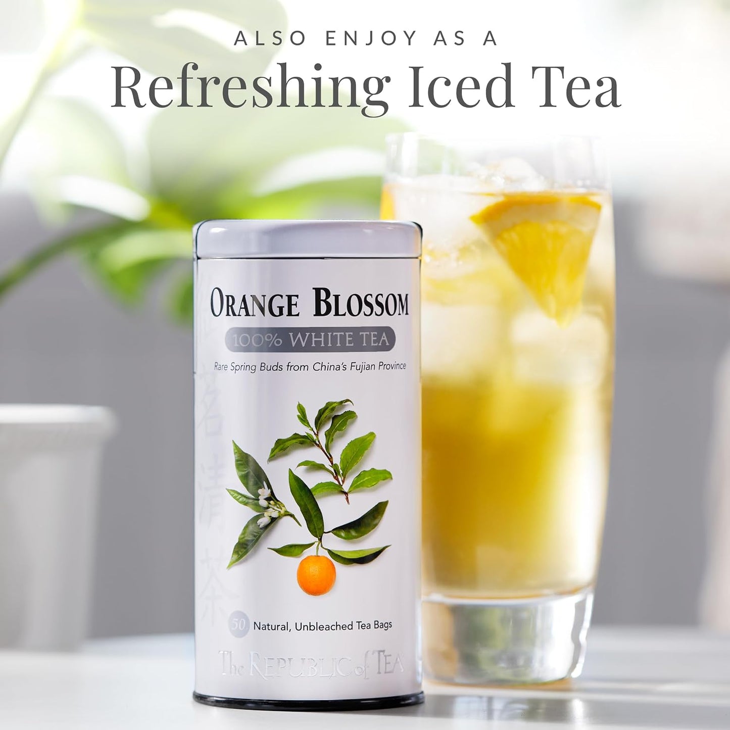 The Republic of Tea Orange Blossom 100% White Tea, Low Caffeine, 50 Count | A gentle cup for everyday sipping. Delicate and smooth with notes of lively citrus. Gluten Free and Carb Free.