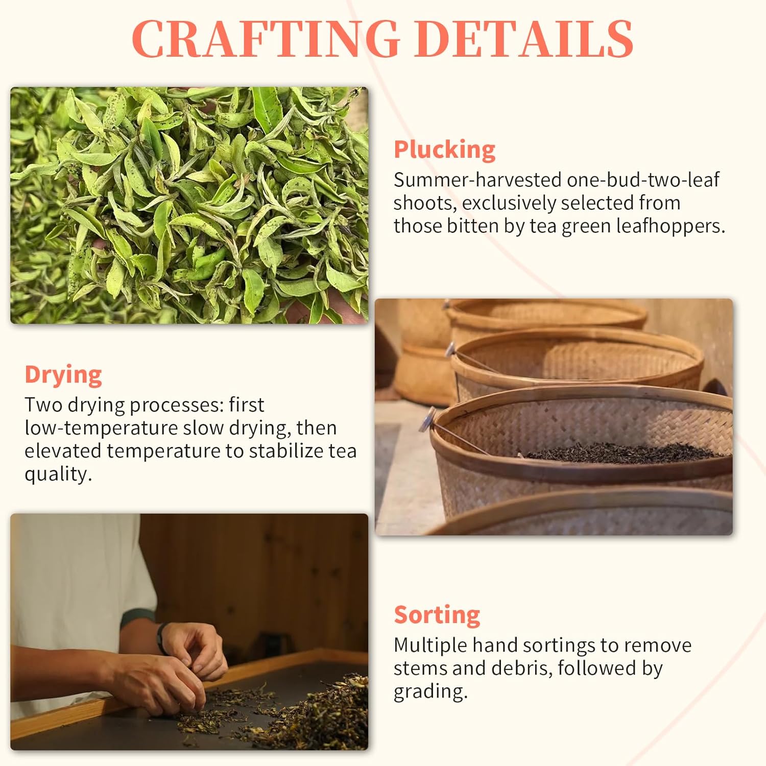 CHADUO Oriental Beauty Tea Taiwan Oriental Beauty Oolong Tea Loose Leaf White Tip Oolong Taiwan Origin Ripe Fruity & Floral Aromas 3.53oz/100g 东方美人茶 台湾茶 白毫乌龙茶