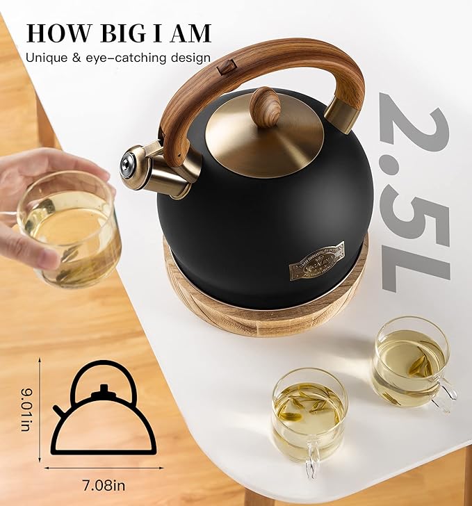 Tea Kettle & Tea Pot, 2.64 Quart Food Grade Stainless Steel Induction Whistling Tea Kettle for Stove Top Home Daily Use Teapot with Cool Touch
